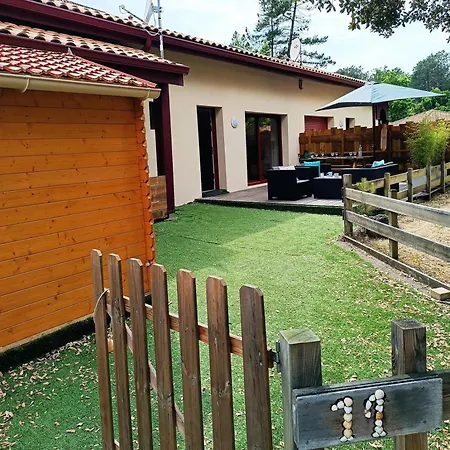 Duplex House With Large Terrace And Garden